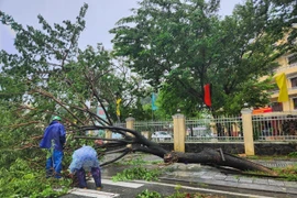 Typhoon Bualoi leaves trail of damage in Hue, authorities rush to assist residents 