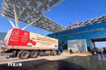 The first shipment of bird’s nests exported to China via Bac Luan II Bridge border gate in Mong Cai, Quang Ninh. (Photo: VNA)