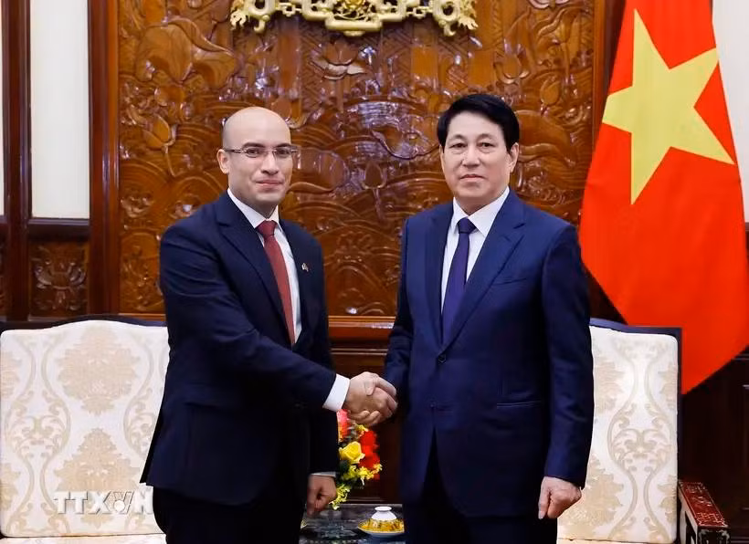 State President Luong Cuong (R) receives Algerian Ambassador to Vietnam Sofiane Chaib. (Photo: VNA)
