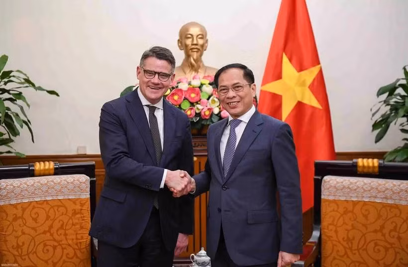 Deputy Prime Minister and Minister of Foreign Affairs Bui Thanh Son (R) receives Minister-President of Germany’s State of Hesse Boris Rhein. (Photo: VNA) 
