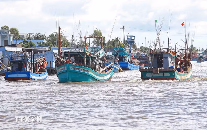 Ca Mau still has 274 “three Nos” vessels, of which 65 boats have been sold but their new owners have not registered to competent authorities. (Photo: VNA)