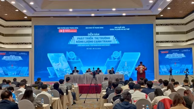 At the conference (Photo: VNA)