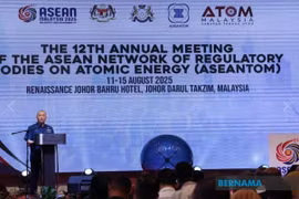 Malaysia calls for nuclear governance in ASEAN