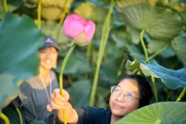 The West Lake lotus pond in Hanoi í a magnet to visitors. (Photo: VNA)