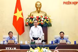 NA Chairman Tran Thanh Man speaks at the 44th meeting of the NA Standing Committee on April 28. (Photo: VNA)