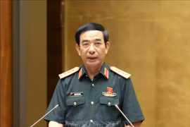 Minister of National Defence Phan Van Giang (Photo: VNA)