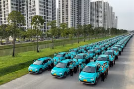 A fleet of VinFast's green taxi (Photo courtesy of VinFast)