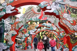 Tet decoration on Phung Hung street in Hoan Kiem district (Photo: VNA)