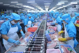 Seafood processed for export (Photo: VNA)