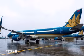 Vietnam is working to tighten aviation safety and security. (Photo: VNA)