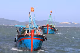 Kien Giang province is intensifying efforts to combat IUU fishing. (Photo: VNA)
