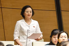 Deputy Prime Minister Pham Thi Thanh Tra speaks at the 15th National Assembly's tenth session. (Photo: VNA)