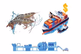 Shrimp exports target 4.3 billion USD in 2025