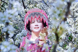 Seasonal flower sightseeing becomes travel trend