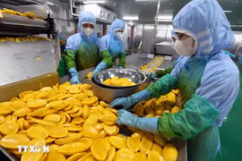 Agricultural processing for export (Photo: VNA)
