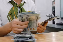 The daily reference exchange rate for the US dollar is set at 24,562 VND/USD on February 14. (Photo: VNA)