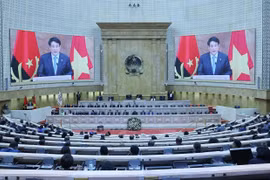 Vietnam seeks to transform partnership with Angola into model for South – South cooperation: President