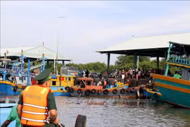 Soldiers of the Thanh Hai Border Guard Station examine fishing vessels docking at Phu Hai Port in Phu Thuy ward, Lam Dong province. (Photo: VNA)