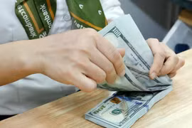 The daily reference exchange rate for the US dollar is set at 24,992 VND/USD on June 6. (Photo: VNA)