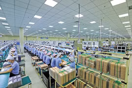 Bac Ninh has doubled its strength following its merger with Bac Giang, another magnet for foreign investment flows. (Photo: baodautu.vn)