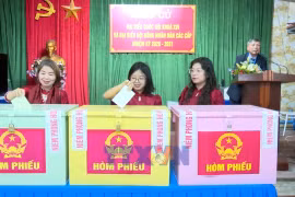 Hung Yen voters expect action from newly elected representatives