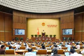 At the 9th session of the 15th National Assembly (Photo: VNA)