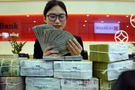 The daily reference exchange rate for the US dollar is set at 24,923 VND/USD on April 11. (Photo: VNA)