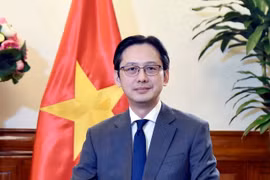 Deputy Minister of Foreign Affairs Do Hung Viet (Photo: VNA)