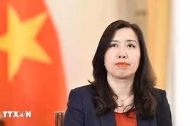 Vietnamese Deputy Minister of Foreign Affairs Le Thi Thu Hang (Photo: VNA)