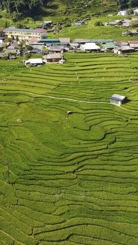 Ta Van village offers ideal trekking trails for those who enjoy outdoor activities and want to get close to and explore nature. (Photo: VNA)