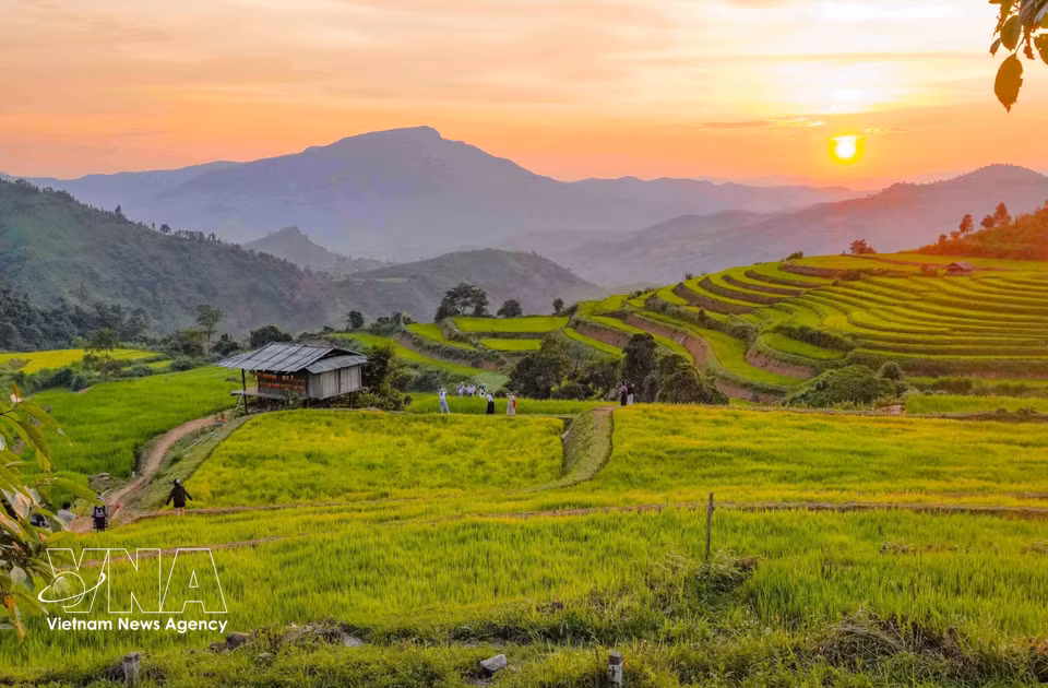 The afternoon light falls across the Pu Nhi terraces, creating a simple and peaceful scene. (Photo: Xuan Tu/VNA)