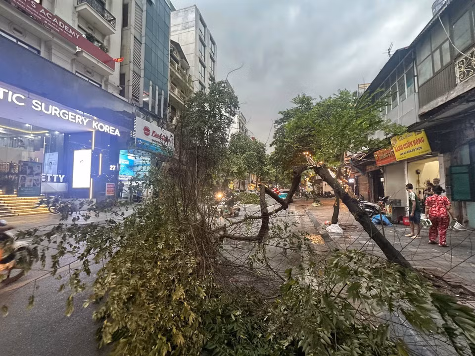 Strong gusts cause trees to fall across various roads in the capital. (Photo: VNA)
