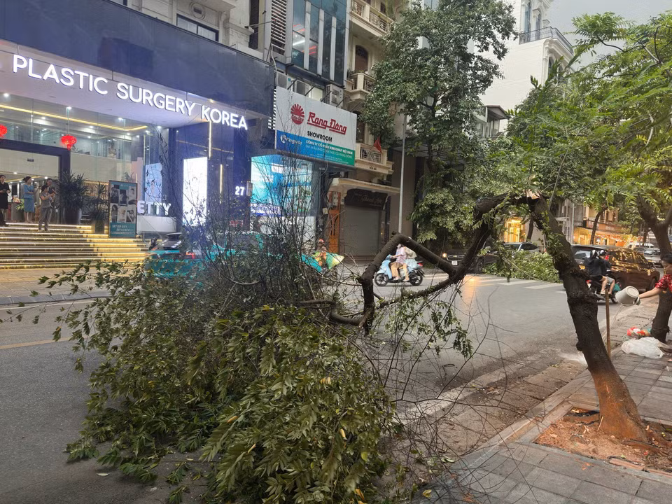 Strong gusts cause trees to fall across various roads in the capital. (Photo: VNA)