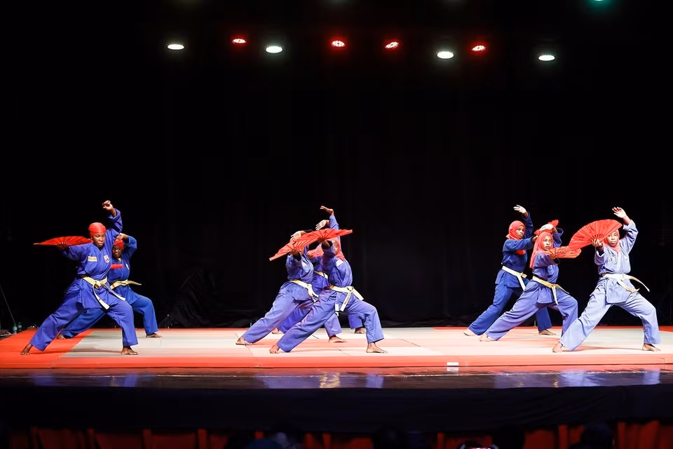 Performance by martial artists of the Senegal Vovinam Federation. (Photo: VNA)