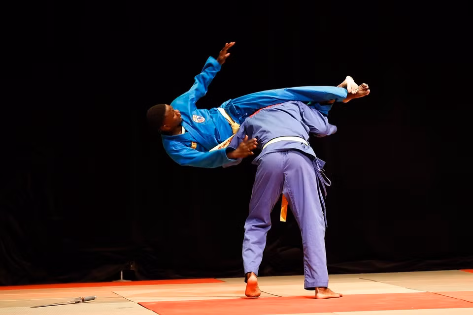 Performance by martial artists of the Senegal Vovinam Federation. (Photo: VNA)