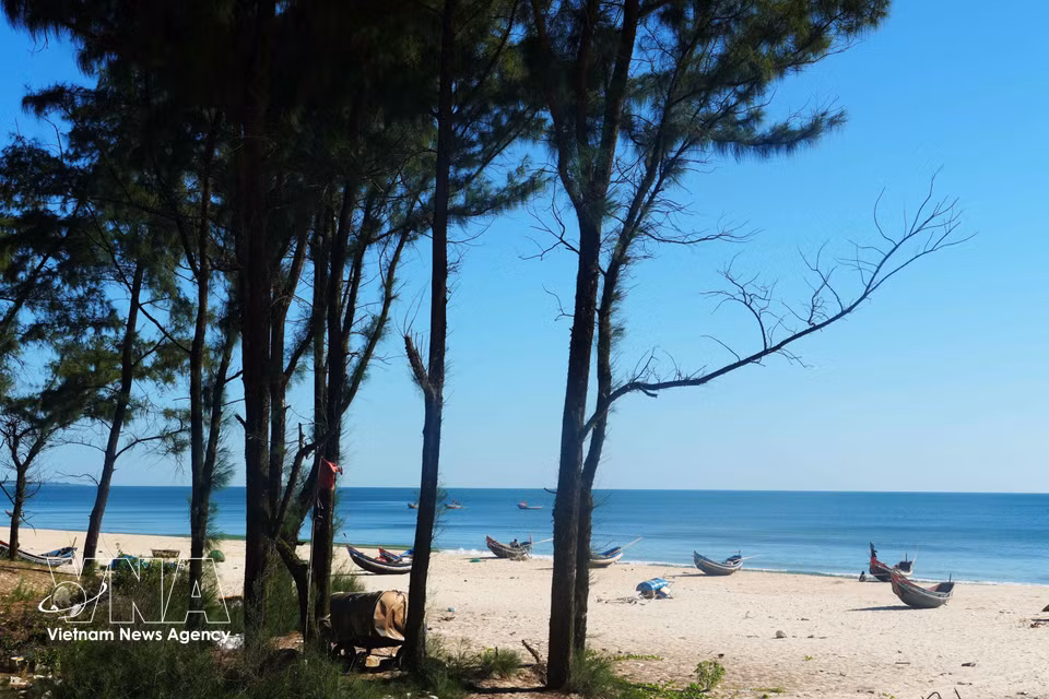 The tranquil, pristine beauty of Ben Hai beach, bordered by lush casuarina trees in Quang Tri province. (Photo: Tuong Vi/VNA)