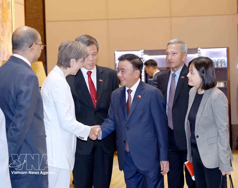 Politburo member and Standing member of the CPV Central Committee’s Secretariat Tran Cam Tu with members of the Singaporean delegation. (Photo: Phuong Hoa/VNA)