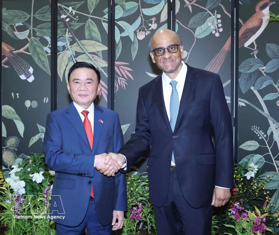 Standing member of the CPV Central Committee’s Secretariat Tran Cam Tu meets Singaporean President Tharman Shanmugaratnam. (Photo: Phuong Hoa/VNA)