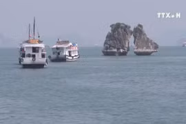 Vietnam Travel & Tourism Summit 2019 opens in Hanoi 