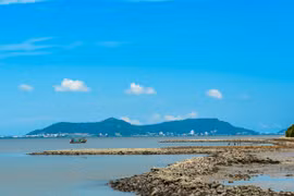 HCM City to turn Can Gio into sustainable eco-urban area