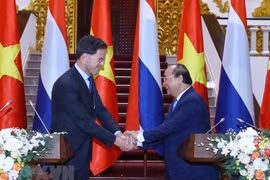 Vietnam - Netherlands comprehensive cooperation 