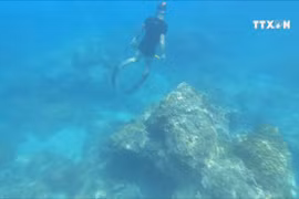 Humble guardian of Son Tra peninsula’s ecology