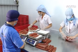 Firms in a hurry to produce goods for Tet holiday