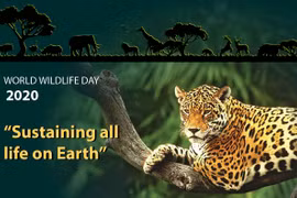 World Wildlife Day 2020 highlights the importance of biodiversity