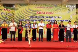 Muong Lo culture and tourism festival opens