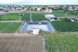 High-tech application in asparagus production area at the Tuan Tu general service cooperative in Ninh Thuan province. (Photo: VNA)