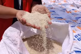 Indonesia considers importing 1 million tonnes of rice from India