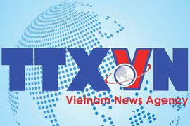 Military aircraft crash in Binh Dinh: All two pilots contacted