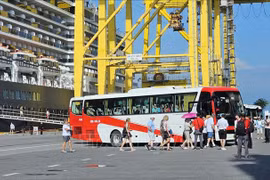 Cruise passengers from the Noordam board vehicles to explore Da Nang city. (Photo: VNA)