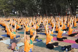 A corner of the large-scale yoga performance celebrating the 10th International Day of Yoga in Binh Thuan province on June 9. (Photo: VNA)